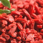 baie de goji du tibet sauvage