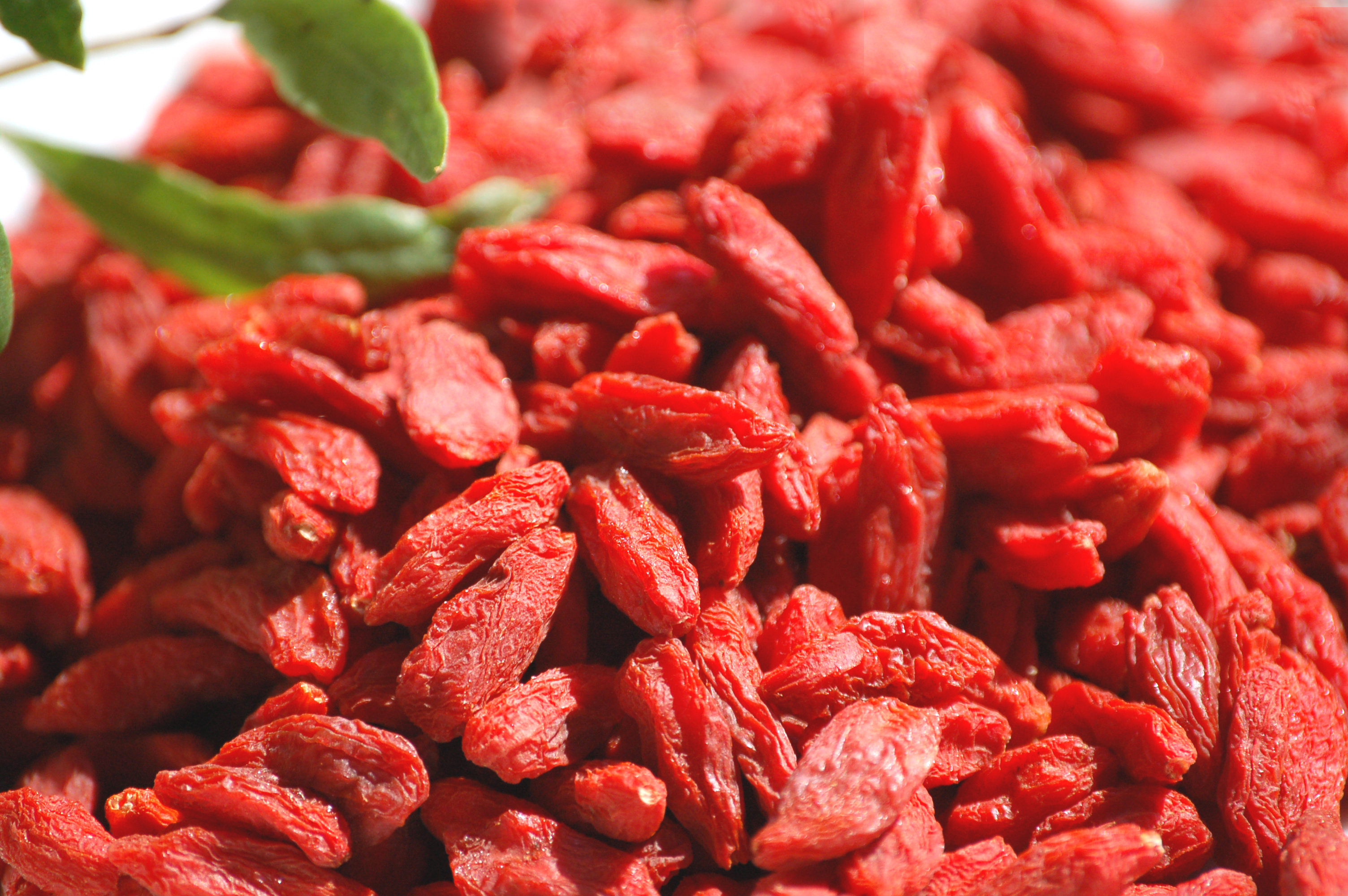 Baies de goji pour maigrir : les bienfaits des baies de goji